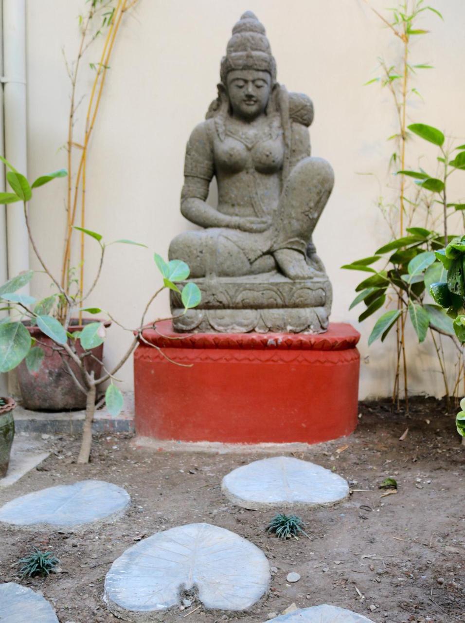 Hotel Mango Tree Courtyard Dehradun Zewnętrze zdjęcie